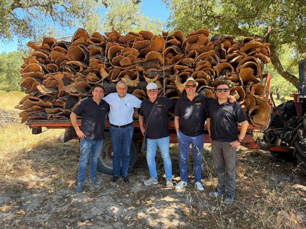 Cork building material harvest in Portugal in 2026, with stacked cork bark ready for processing