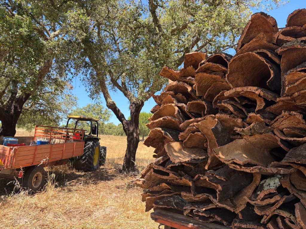 Cork building material bark stacked after harvest in Portugal, ready for industrial use